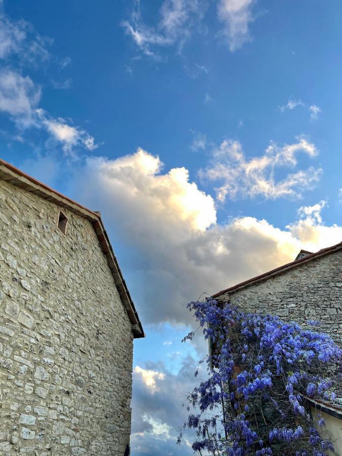 Country House Ca' Di Nieri - The Saints' Lodge Monte Santa Maria Tiberina Экстерьер фото