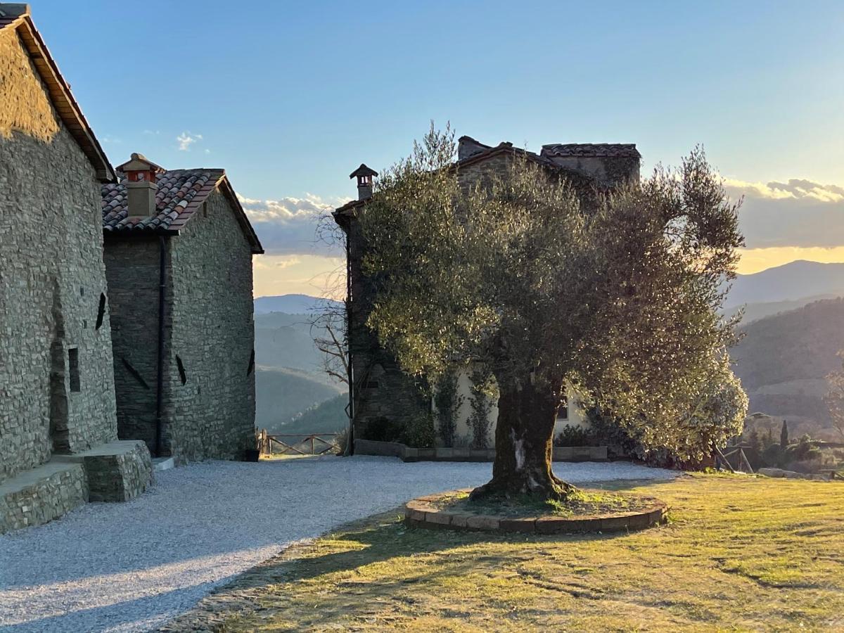 Country House Ca' Di Nieri - The Saints' Lodge Monte Santa Maria Tiberina Экстерьер фото