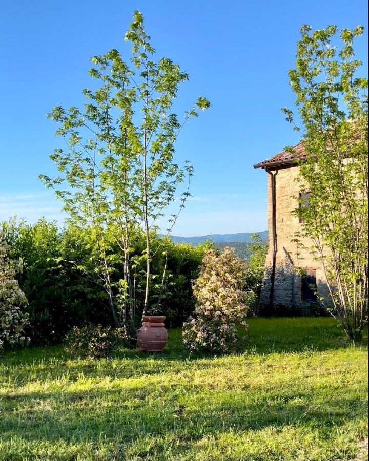 Country House Ca' Di Nieri - The Saints' Lodge Monte Santa Maria Tiberina Экстерьер фото