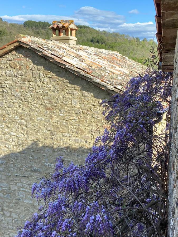 Country House Ca' Di Nieri - The Saints' Lodge Monte Santa Maria Tiberina Экстерьер фото
