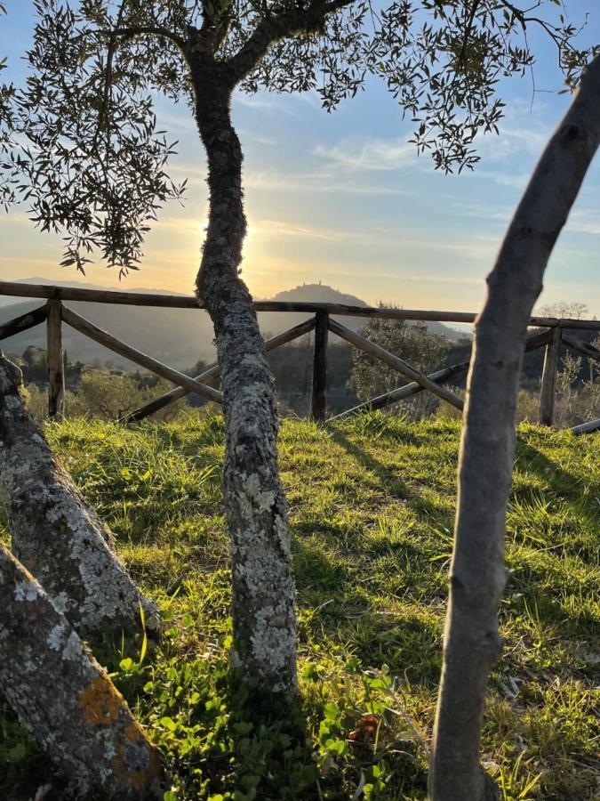 Country House Ca' Di Nieri - The Saints' Lodge Monte Santa Maria Tiberina Экстерьер фото