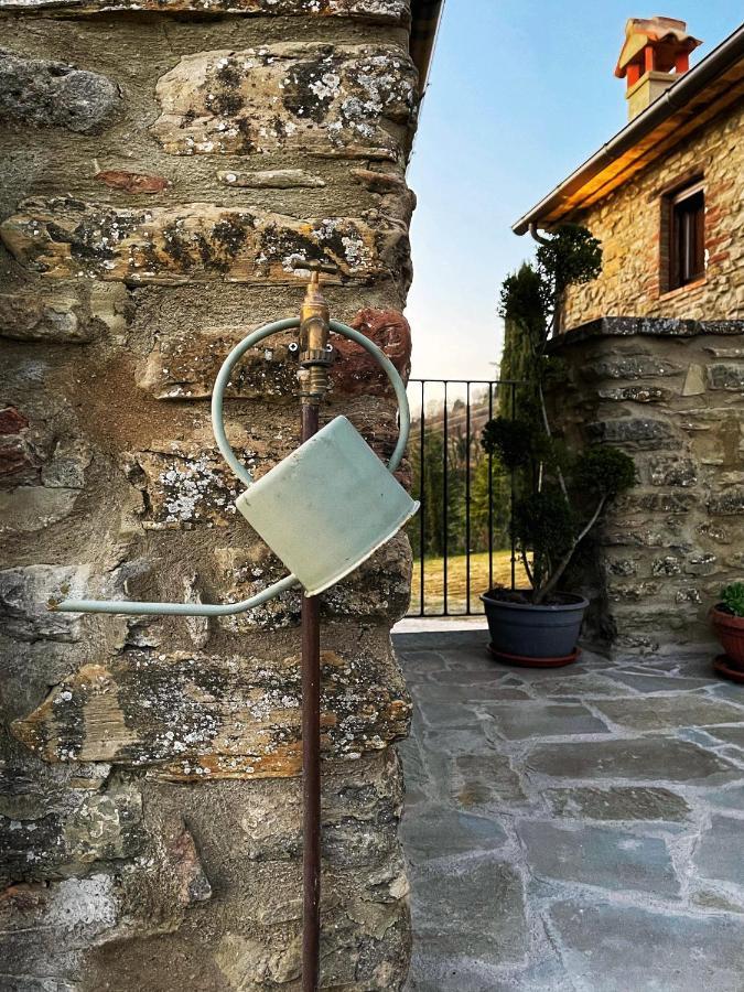 Country House Ca' Di Nieri - The Saints' Lodge Monte Santa Maria Tiberina Экстерьер фото
