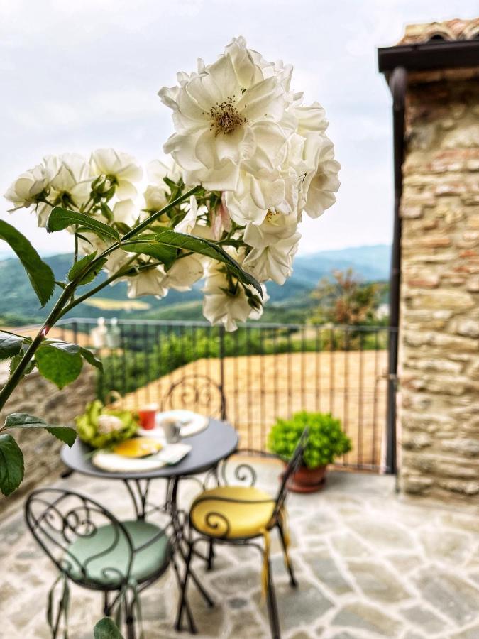 Country House Ca' Di Nieri - The Saints' Lodge Monte Santa Maria Tiberina Экстерьер фото
